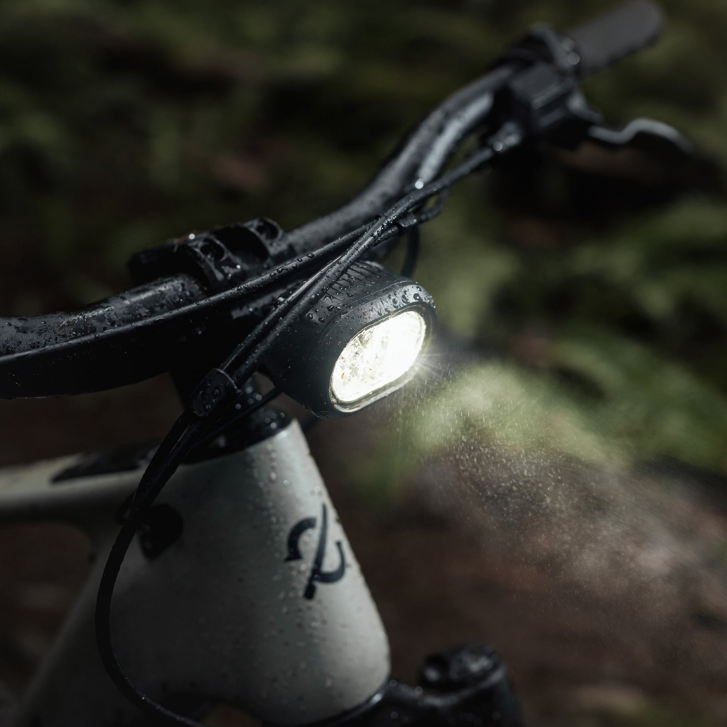 AmFlow PR Carbon Pro