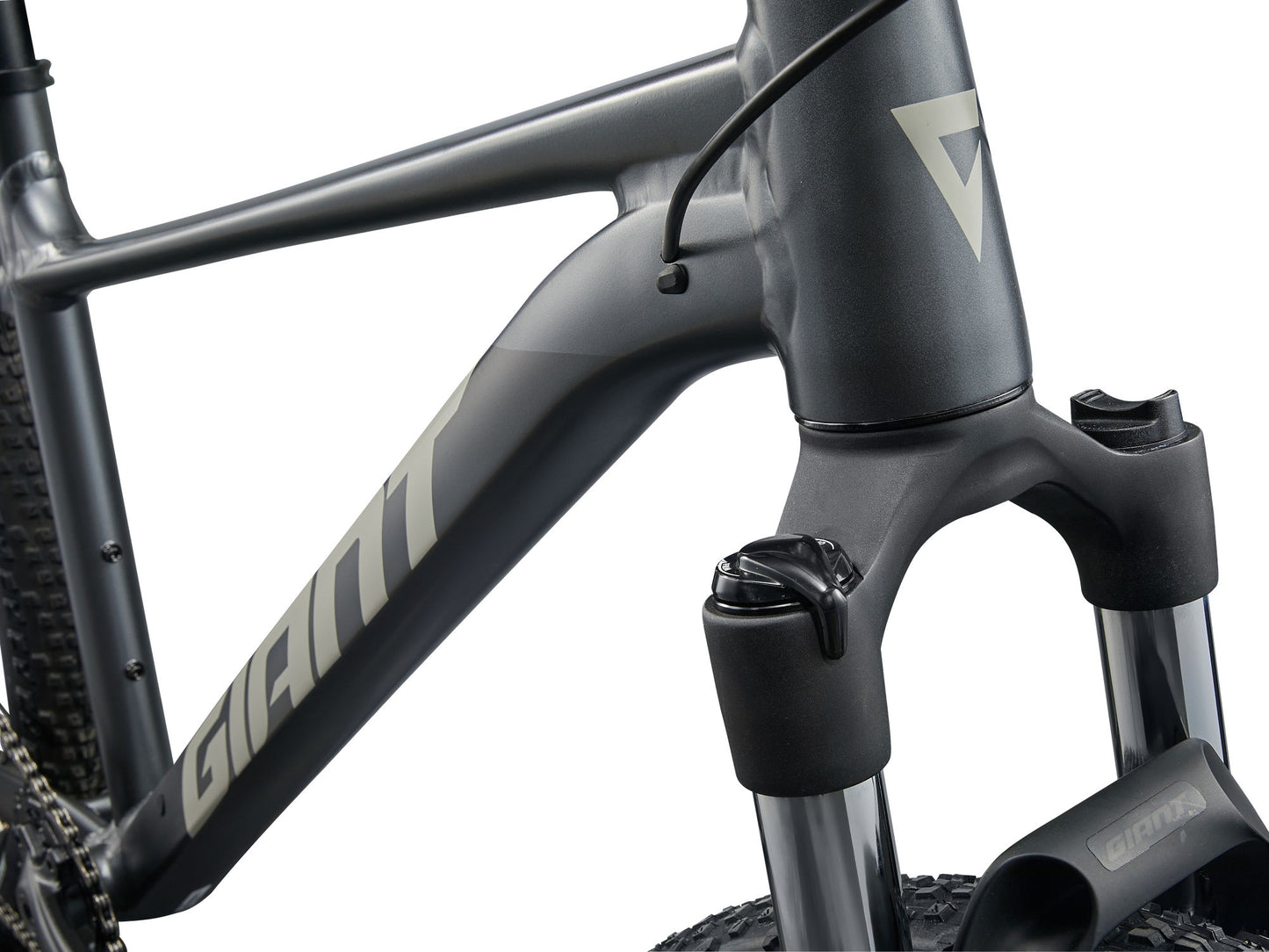 Giant Talon 1 2026